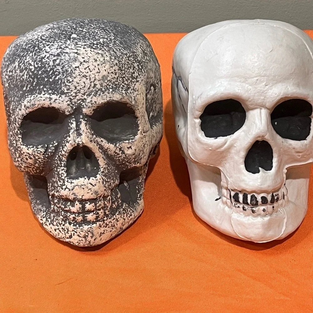 6/$25 Gray and White Skull Decor Set - Picture 1 of 15
